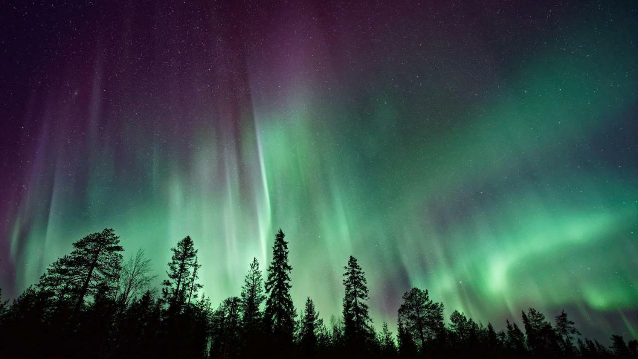 Arctic Homes - Premium Апартаменты